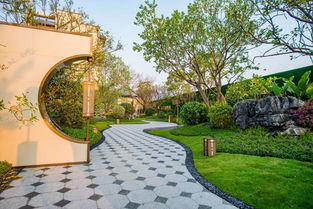 聚焦聽音湖,國家5a風景區將有大事件發生